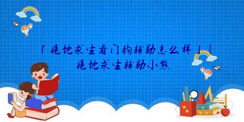 「绝地求生看门狗辅助怎么样」|绝地求生辅助小熊